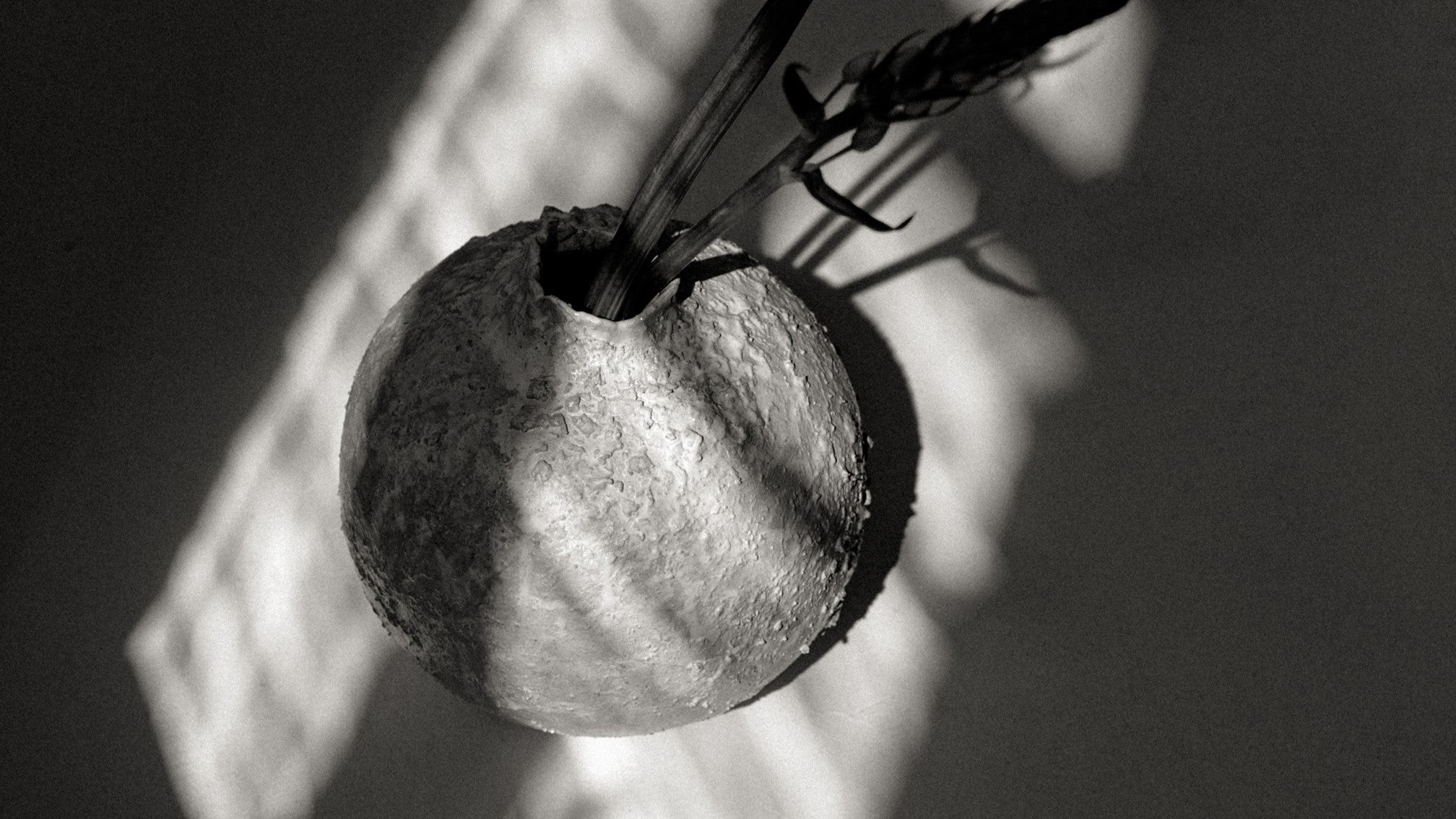 Sabi ceramics collection