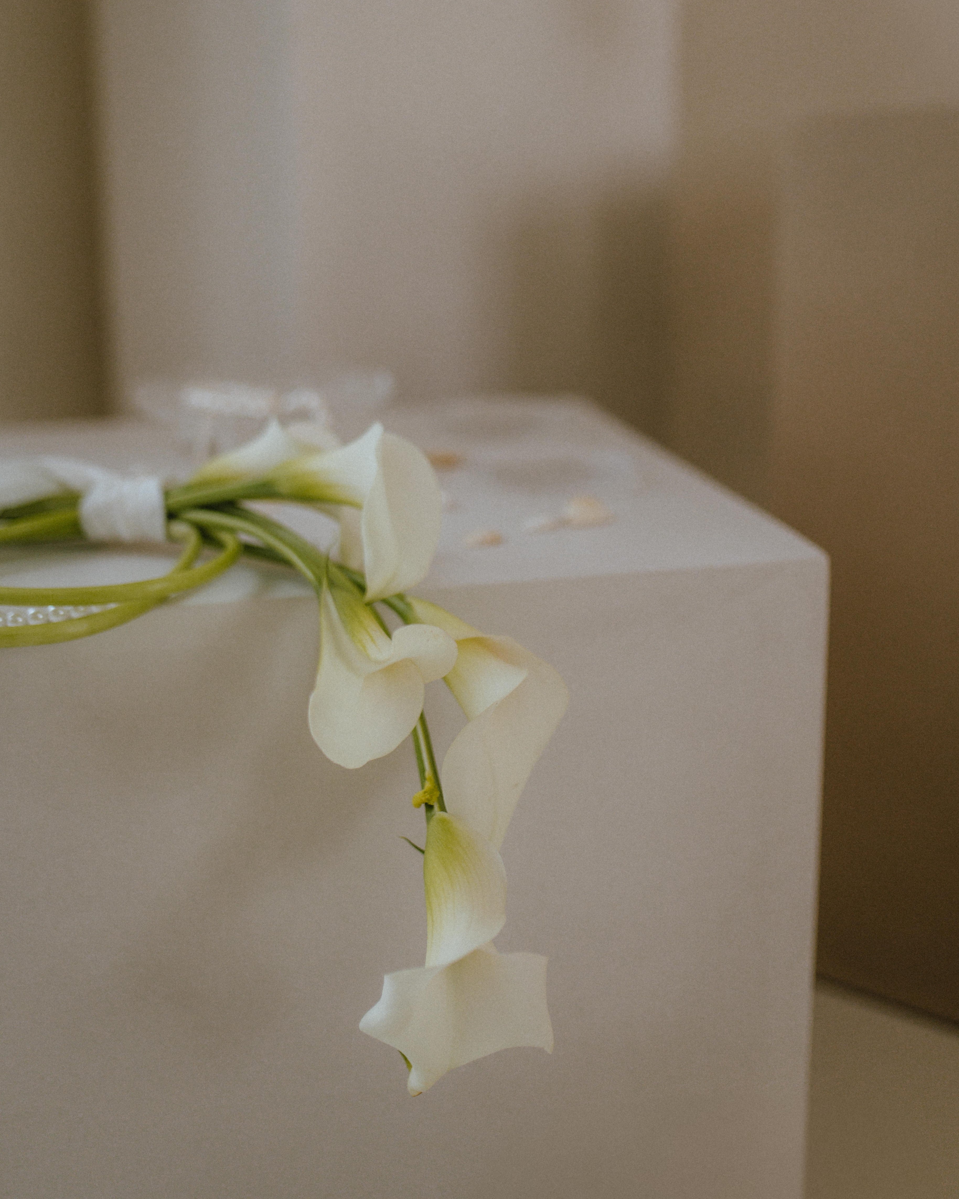 Handmade microcement pedestals, tall and low plinths with seamless finish