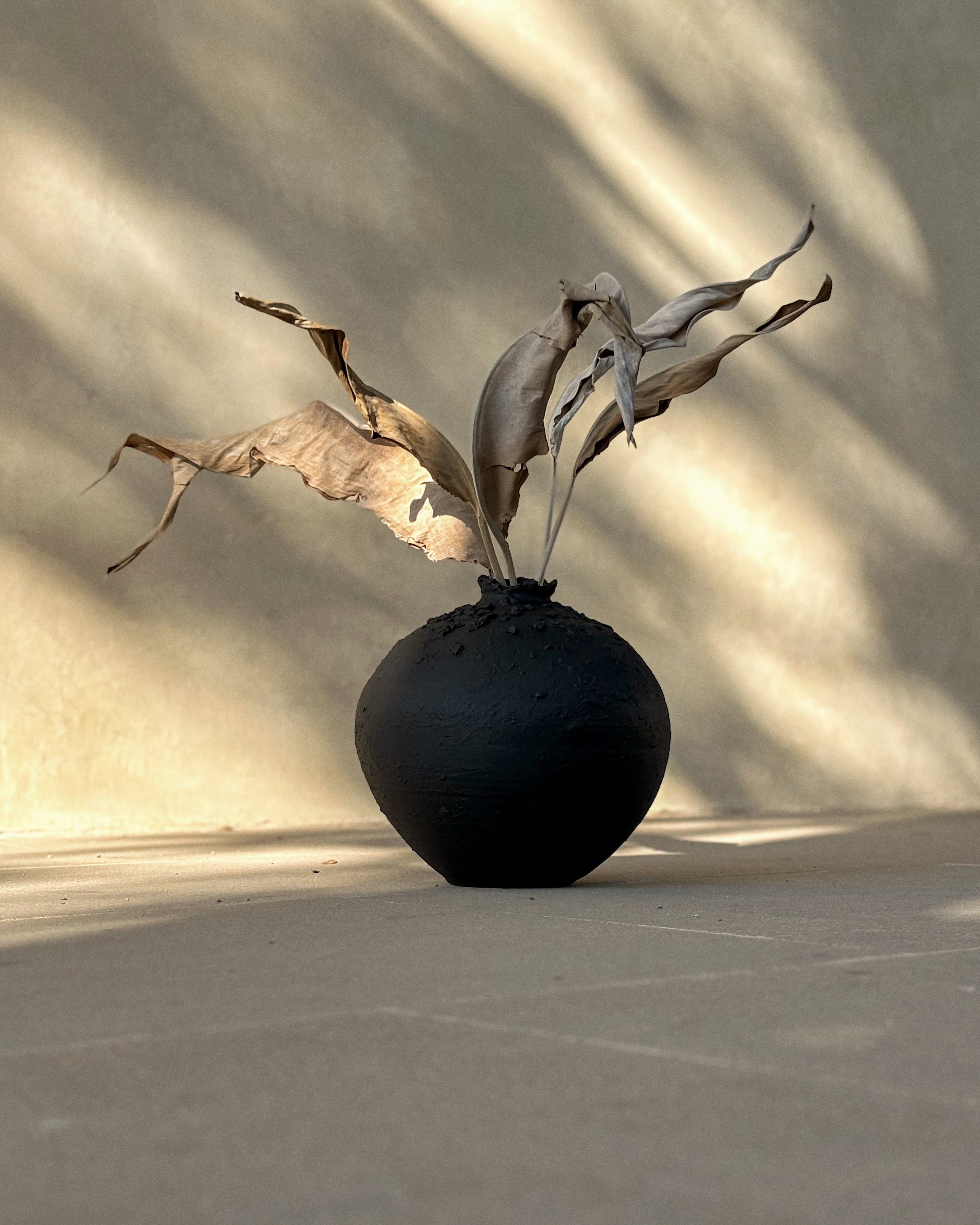Sabi black ceramic vase styled with dried branch in interior