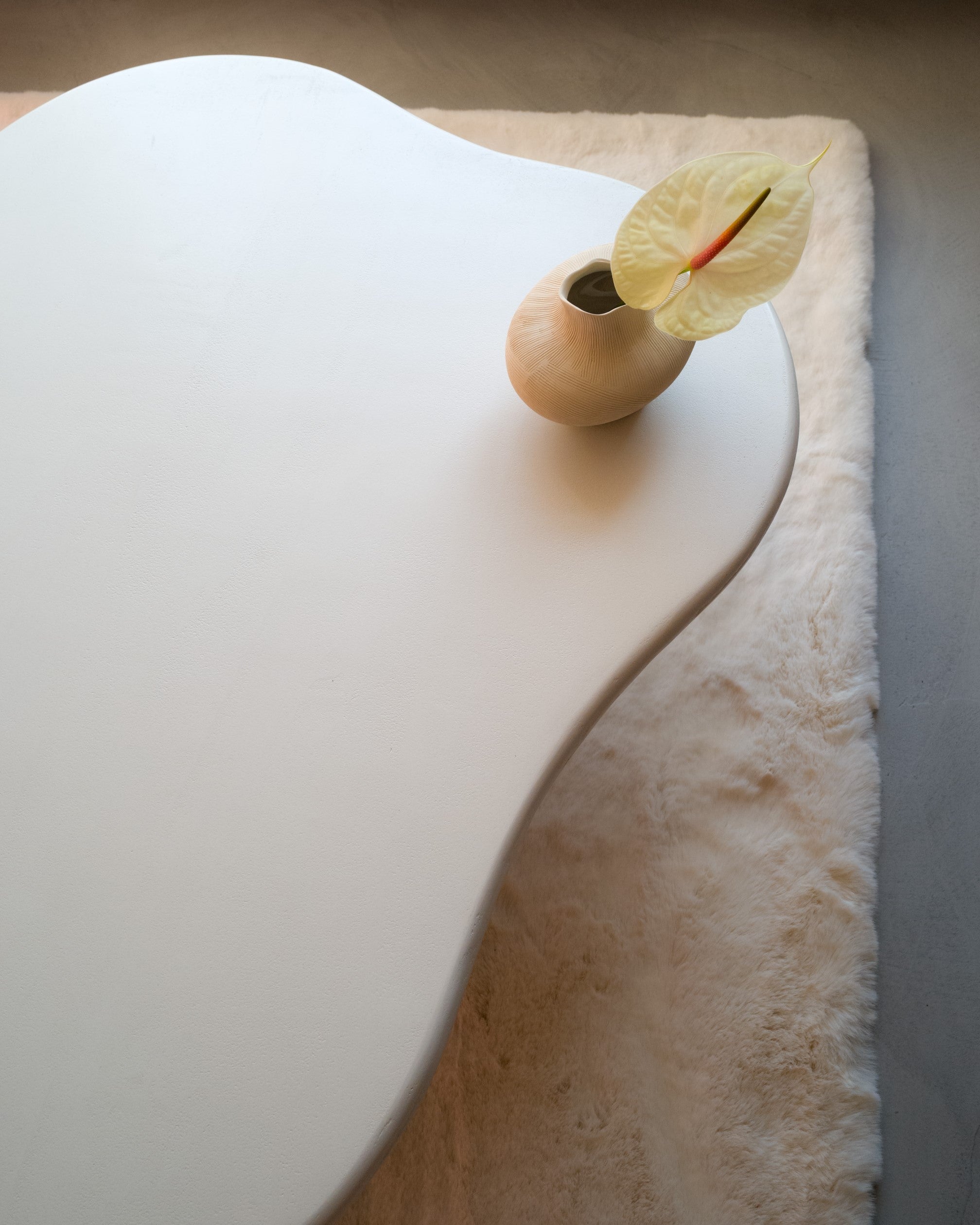 Top view of Kanso Organic microcement coffee table showing free-form rounded shape
